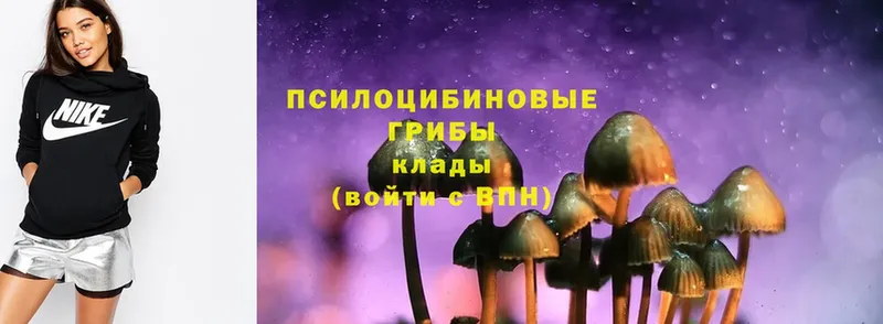 Галлюциногенные грибы Psilocybe  даркнет сайт  Мирный 